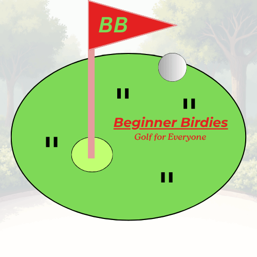 Beginner Birdies
